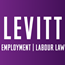 Firm logo for Levitt LLP