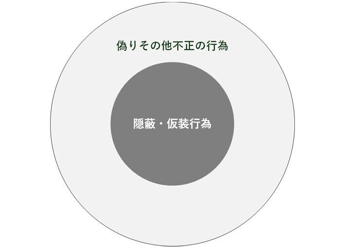 偽りその他不正の行為 仮装隠蔽