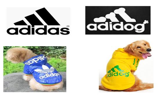 Dog with adidas best sale